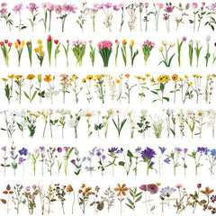 40pcs Floral Stickers Pack Waterproof Transparent PET for Bullet Journal DIY