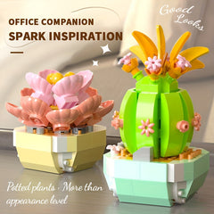 Eternal Flower Succulent Plant Potted Assembly Building Block Toys