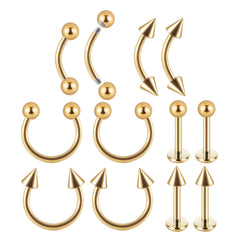 12PC Stainless Steel Body Piercing Jewelry Set 16G Nose Lip Tongue Cartilage