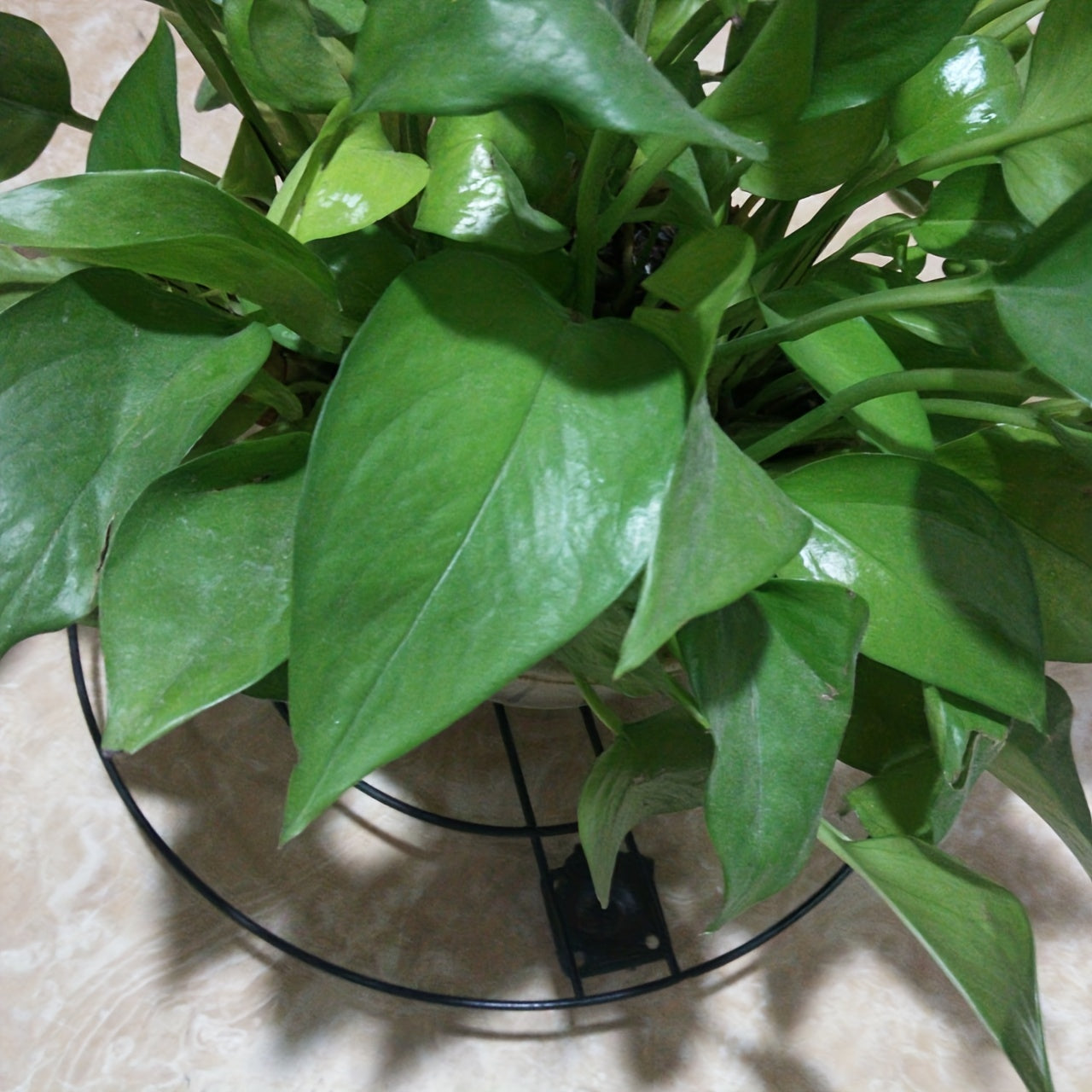 Flower Pot Base With Pulley Balcony Flower Pot Bottom Plate Roller