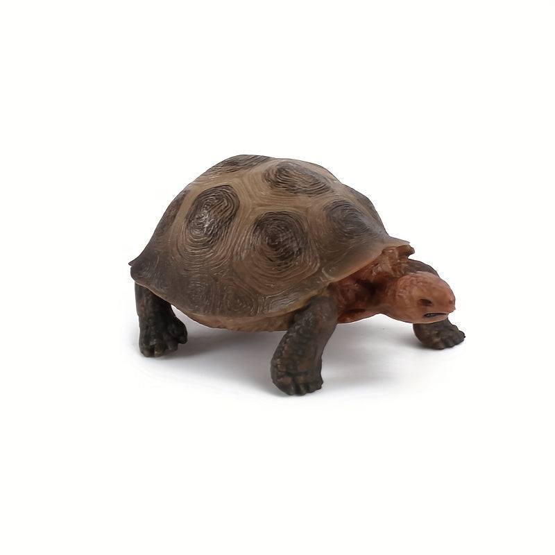 Realistic Turtle Model Toy for Wildlife Learning