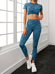 Seamless Yoga Set Crop Top & Butt Lifting Shorts