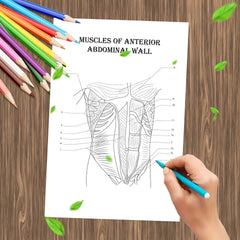 Anatomy & Physiology Coloring Book - Perfect Gift for Medical Students