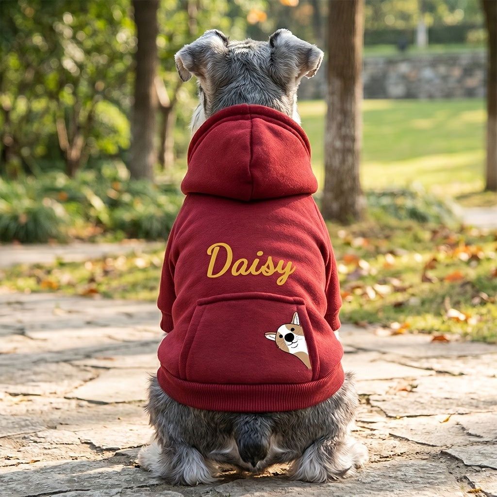 img_6515118