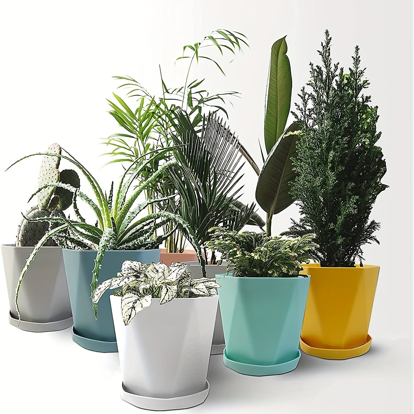 6pcs Thickened Plastic Flowerpot Set with Drainage Holes & Bases