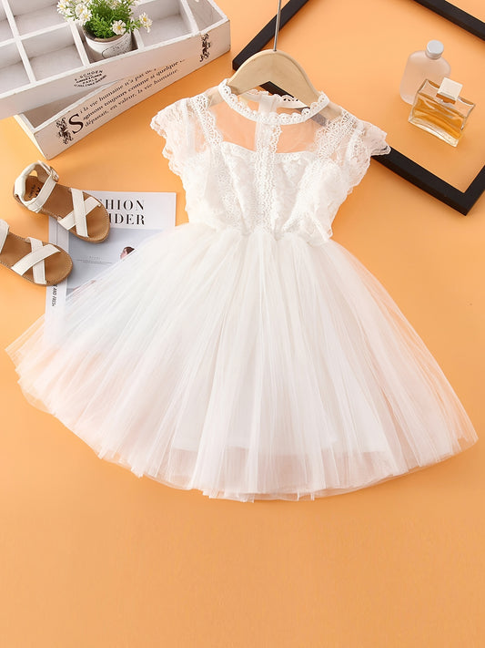Baby Girls Sleeveless Lace Tulle Dress Flower Embroidery Tutu Dress