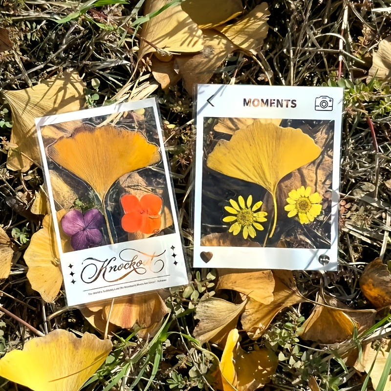 img_10541130