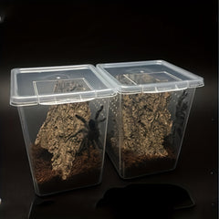 Reptile Breeding Box for Pet Spider Larvae