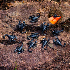 Realistic Scorpion Prank prop Lifelike Venomous Scary Sharp Pedipal