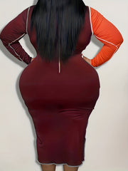  Colorblock Leopard Print Long Sleeve Dress