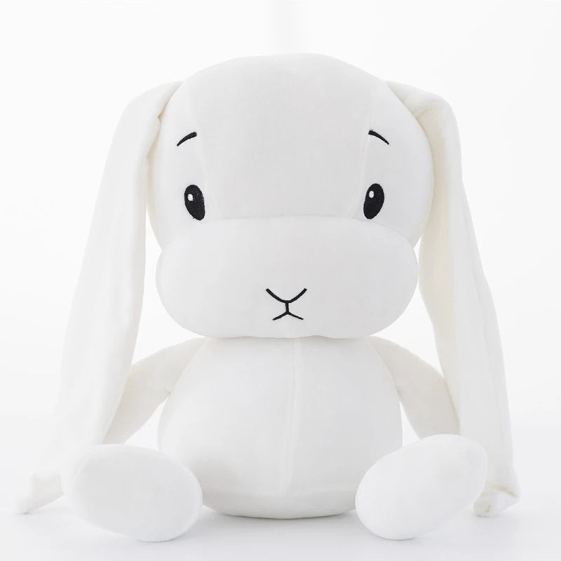 img_2920840