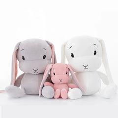 img_2920835