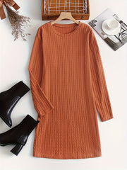  Solid Jacquard Long Sleeve Round Neck Dress