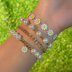 img_5638475