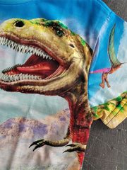 Boys Dinosaur T Shirt 3D Print Stretchy Fabric Outdoor Play