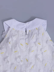 Toddler Girls' Birthday Dress Butterfly Appliques Sleeveless Mesh Princess Dress