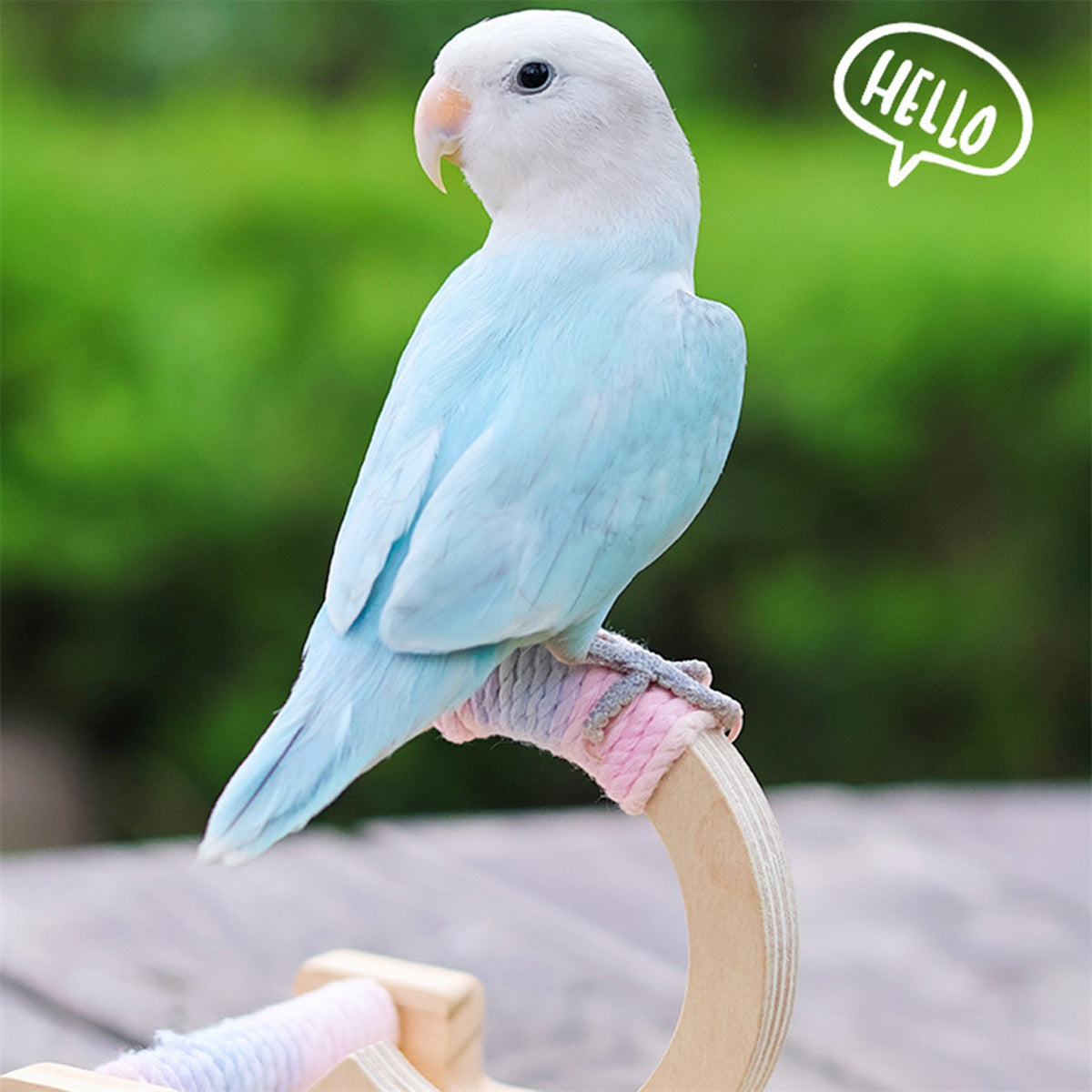 img_7388015