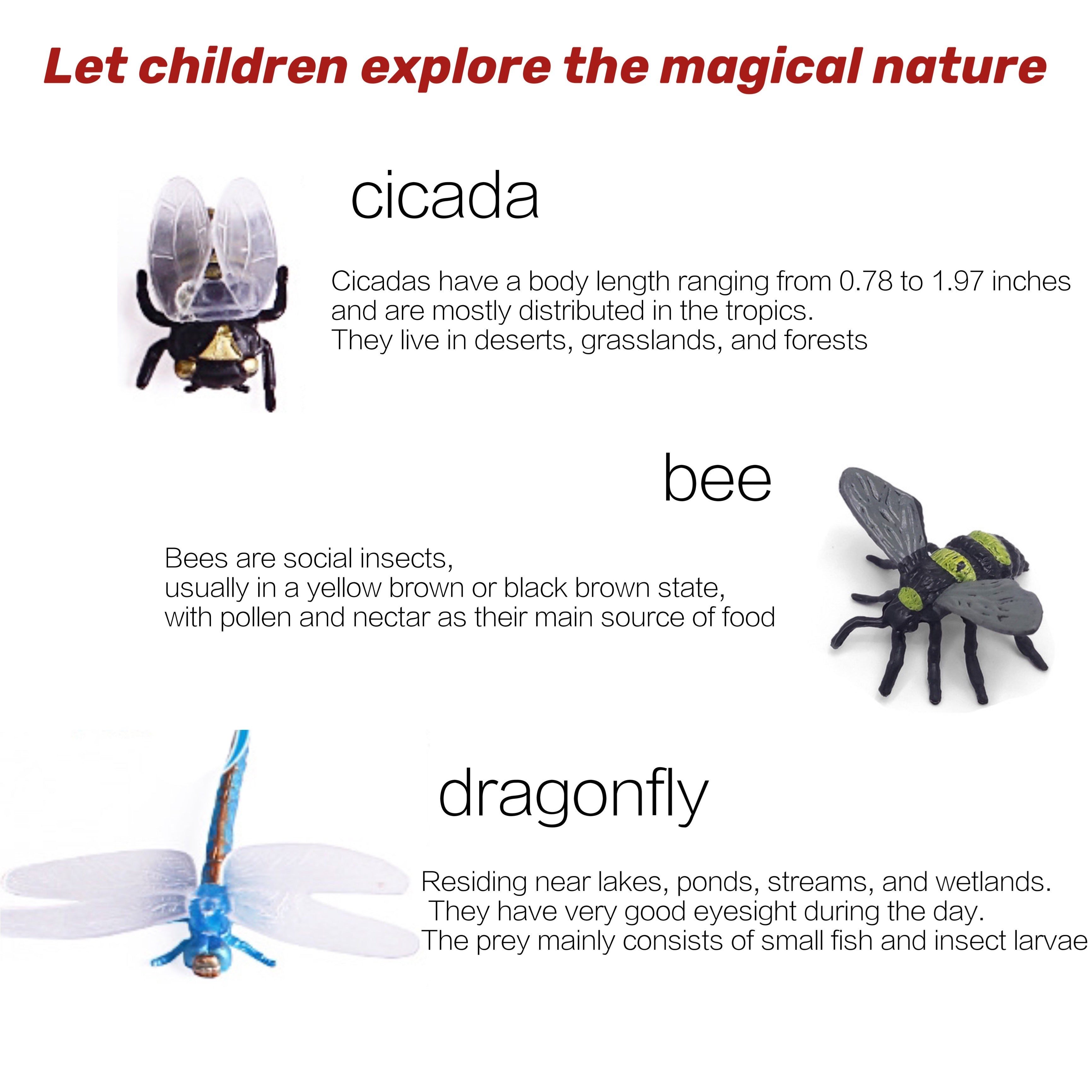 24pcs Small Insect Toys Model Mini Spider Ladybug Beetle Scorpion Butterfly