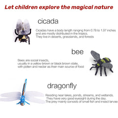 24pcs Small Insect Toys Model Mini Spider Ladybug Beetle Scorpion Butterfly