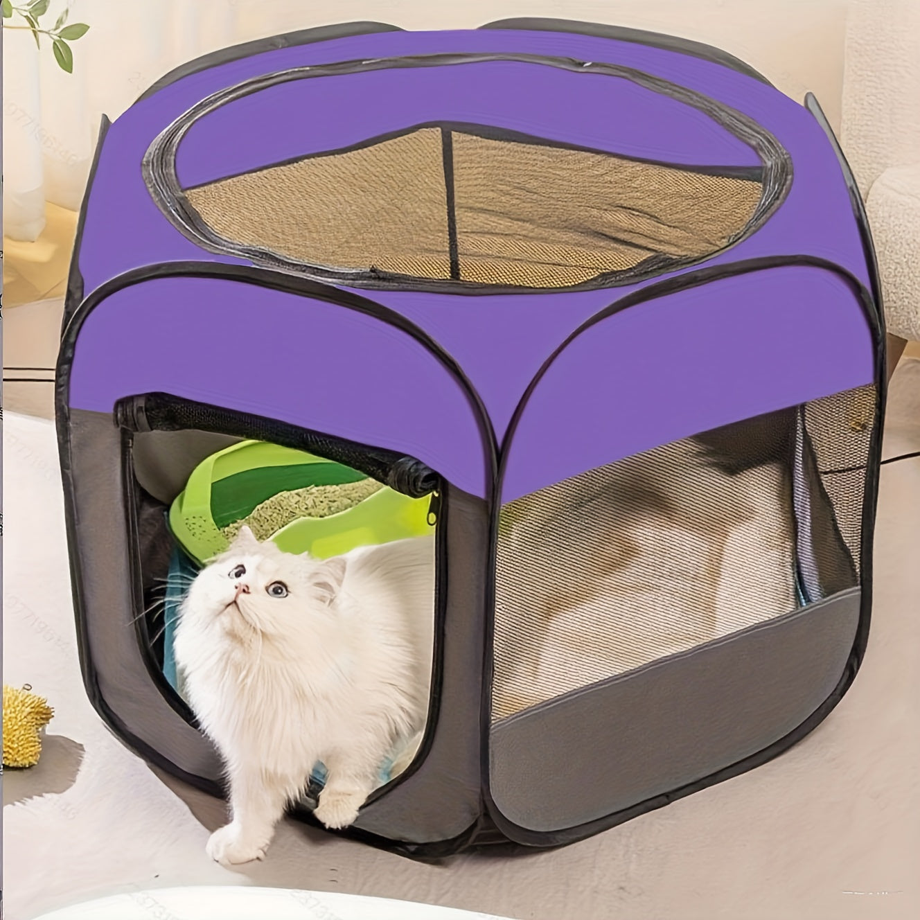 img_5378018