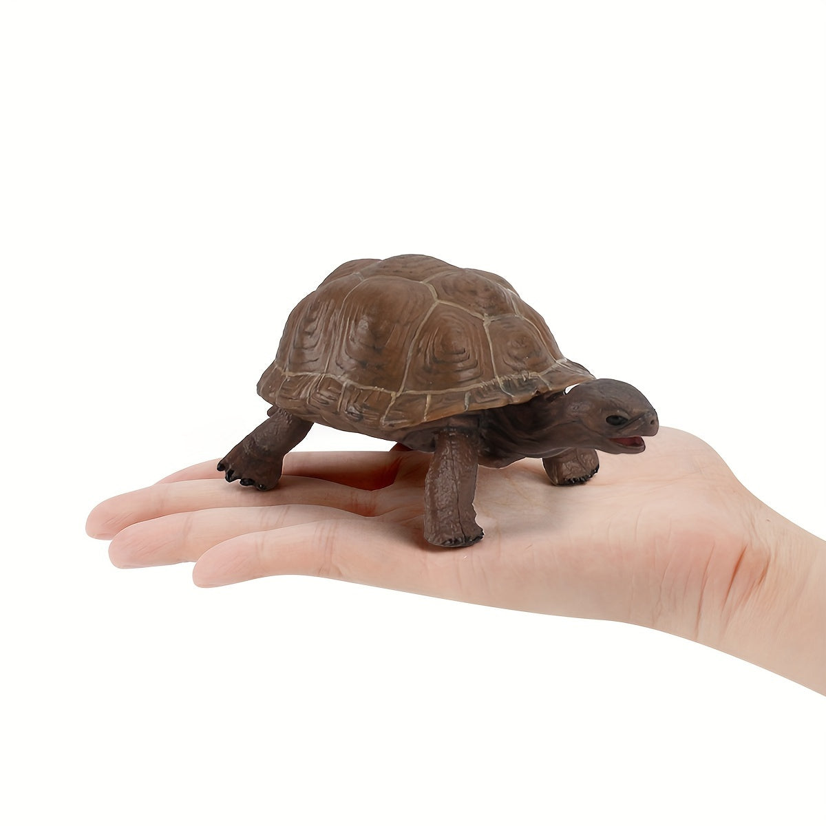 Realistic Turtle Model Toy for Wildlife Learning