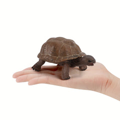 Realistic Turtle Model Toy for Wildlife Learning