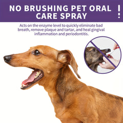 Dog & Cat Teeth Cleaning Spray - Freshen Your Pet's Breath Instantly