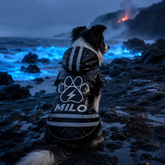 img_5201786
