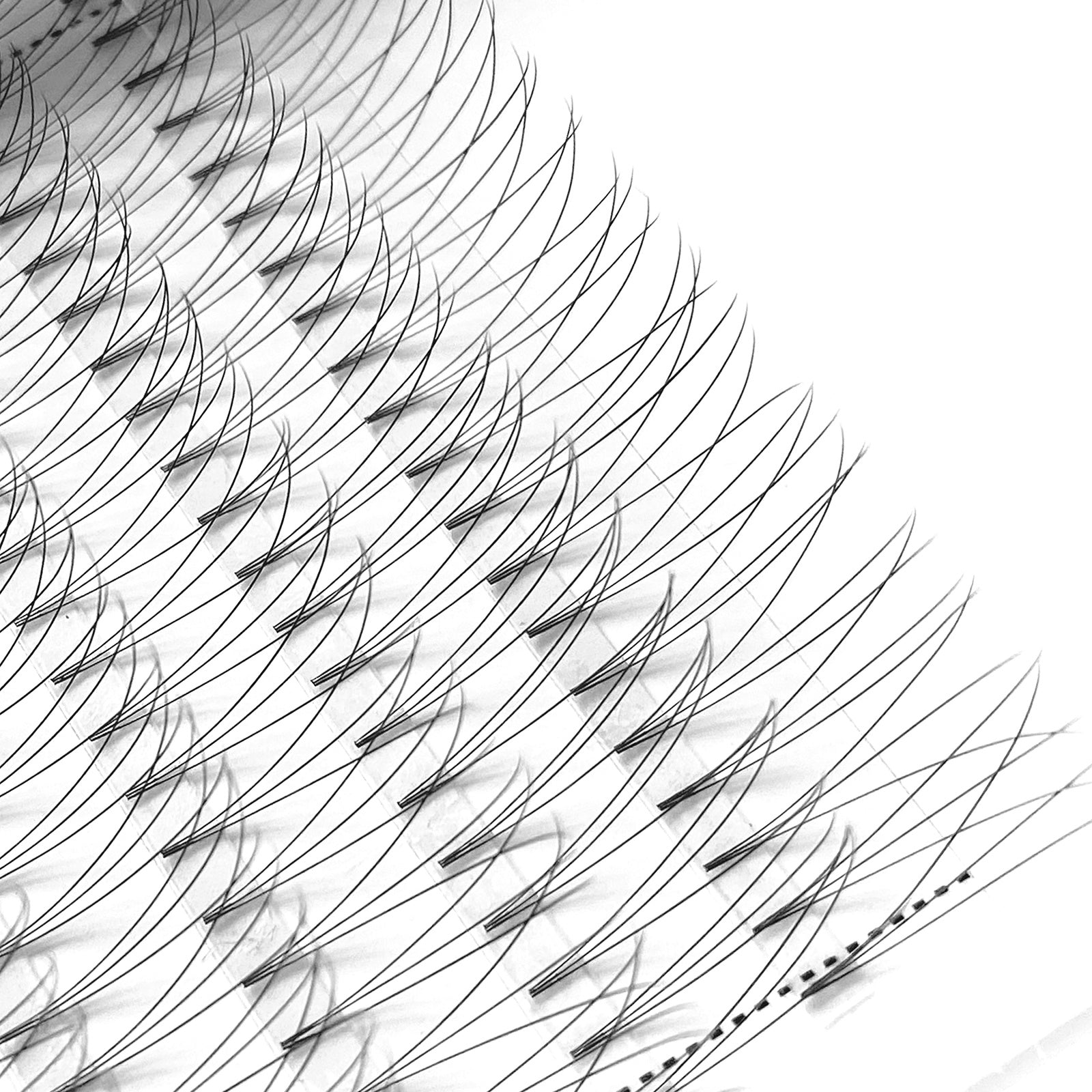 3D Short Root Premade Volume Lash Fake Eyelashes 8-15mm