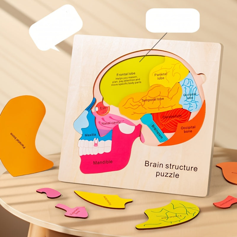 Wooden Brain Anatomy Puzzle for Kids Educational Toy