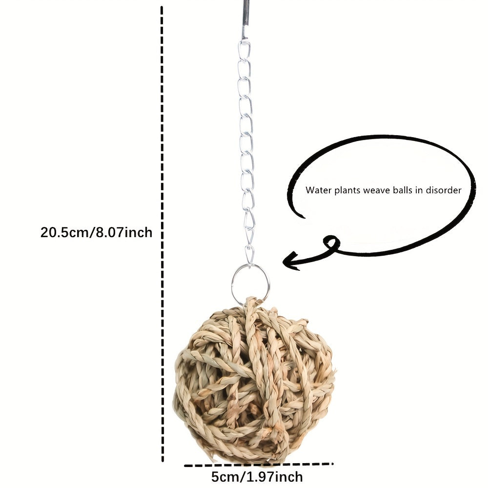 Interactive Pet Hanging Grass Ball for Hamsters