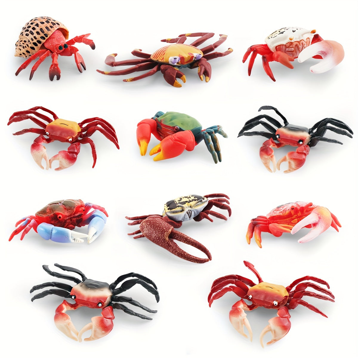 Hermit Crab & Crab Ornament Model