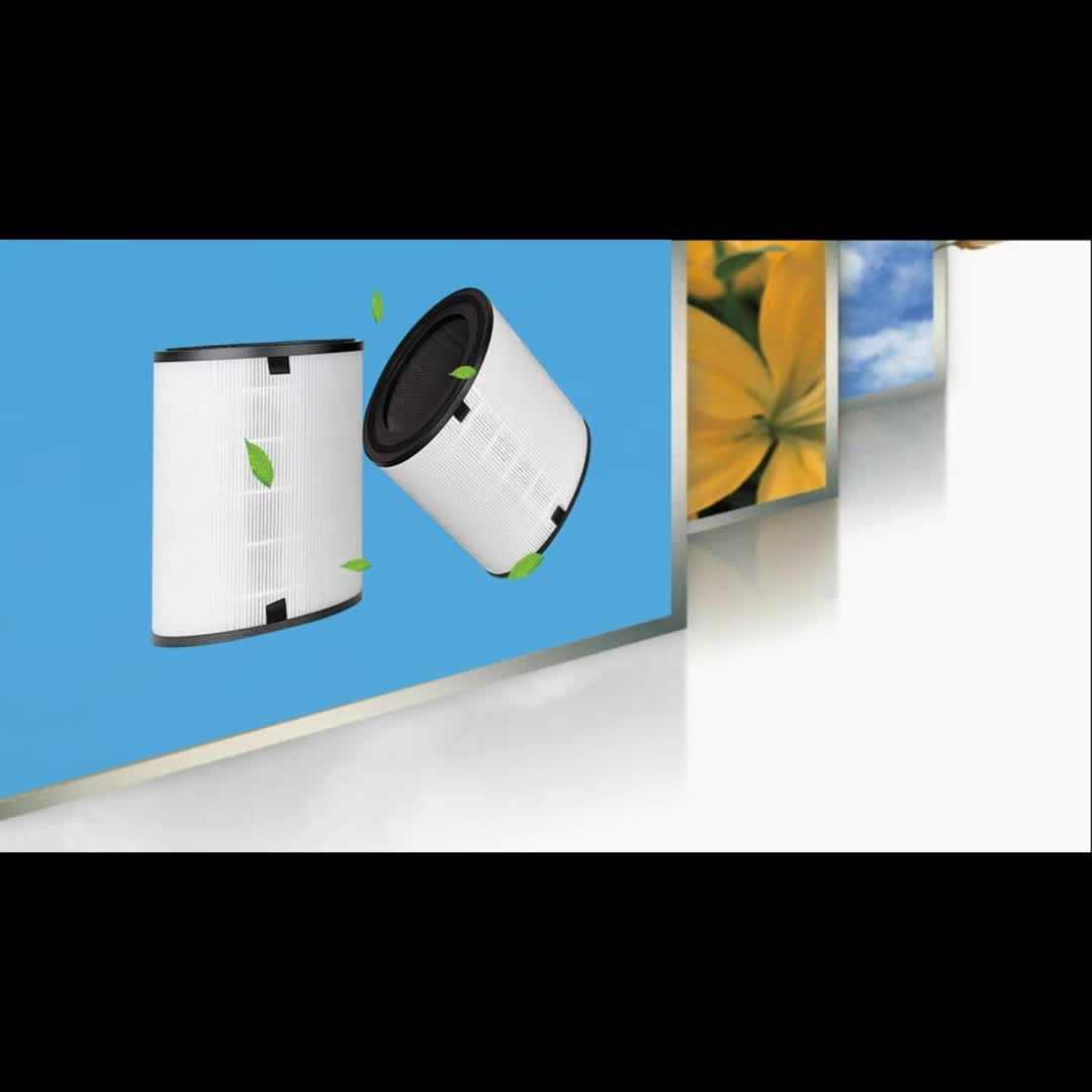 H13 True HEPA & Carbon Air Filter Set - Clean Air & Reduce Allergens/Odors