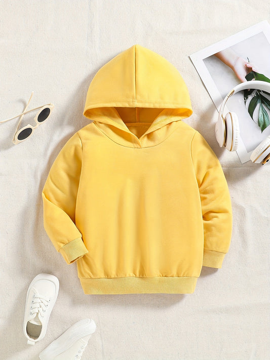 Boys Casual Hooded Sweatshirt Spring Fall Kids Clothing