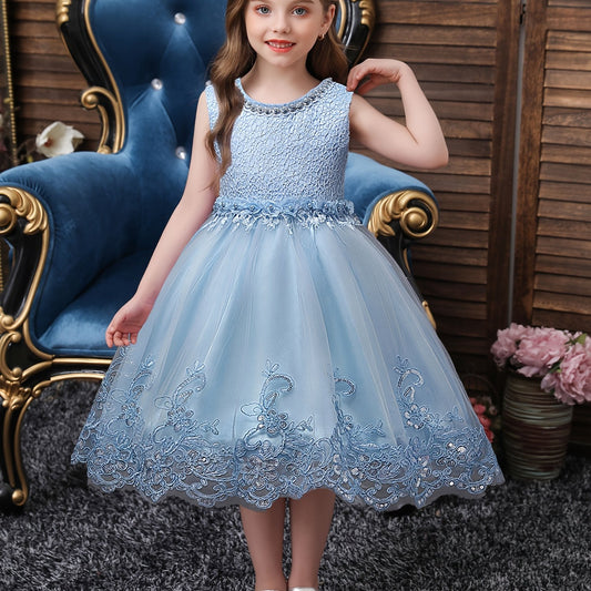 Girls Princess Dress Sleeveless Flower Embroidery Lace Mesh Tutu Dress