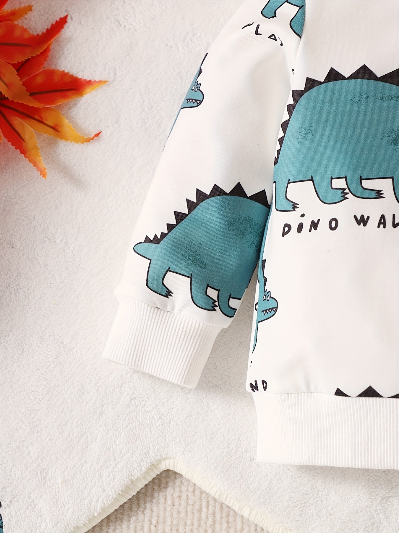 Baby Boy's Cartoon Graphic Hoodie Pants Sportswear Set