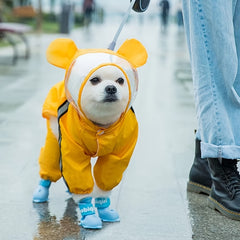 Cartoon Waterproof Pet Raincoat for Small and Medium Dogs