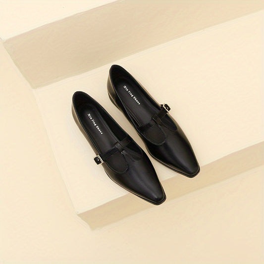 Chunky Low Heel Mary Shoes Buckle Strap Comfortable Walking Shoes