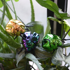 Clockwork Beetle Prank Toy