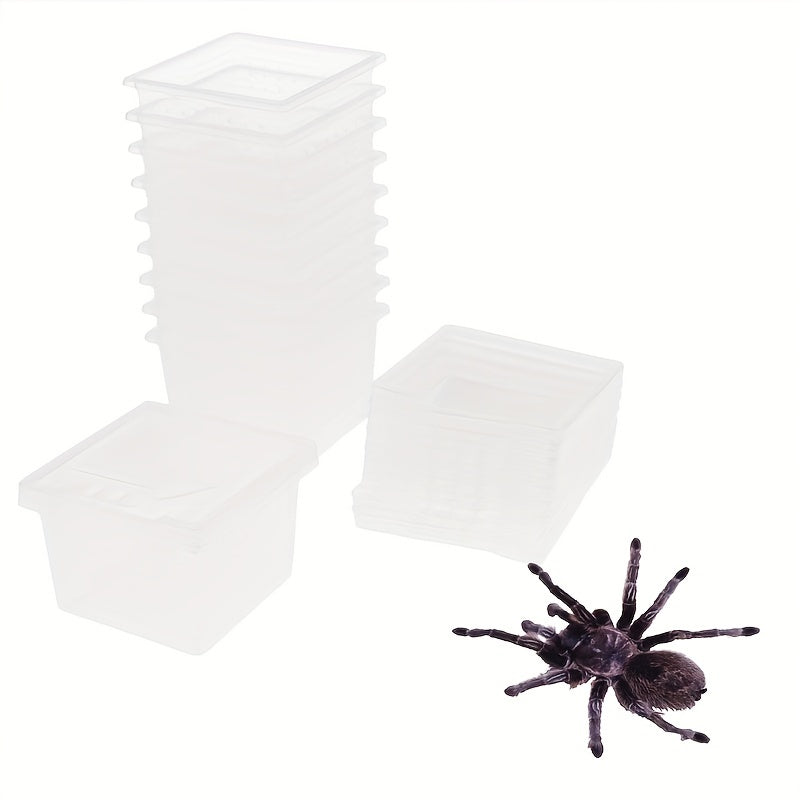 Reptile Breeding Box for Pet Spider Larvae