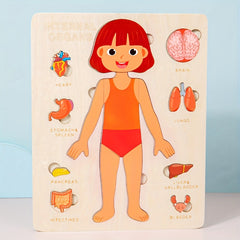 Human Body Structure Wooden Puzzle Educational Toy