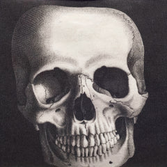 Skull Print Storage Bag Zipper Makeup Pouch Cosmetic Organizer