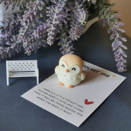 Owl Pocket Hug Small Card Inspirational Small Greeting Card