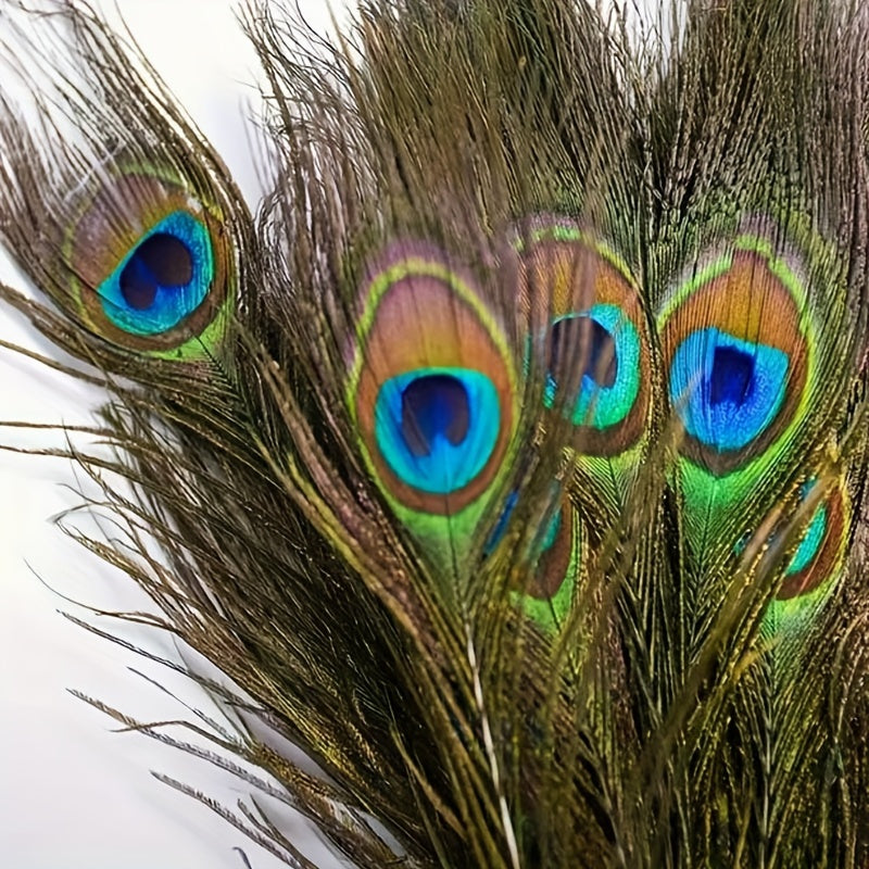 15pcs Peacock Eye Feathers 25-30-48 Cm Holiday Party Table Decorations