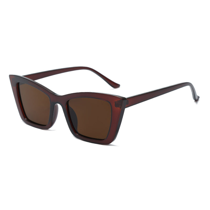 Cat Eye Square Sunglasses Women Unisex Classic Hiking Driving Eyeglasses