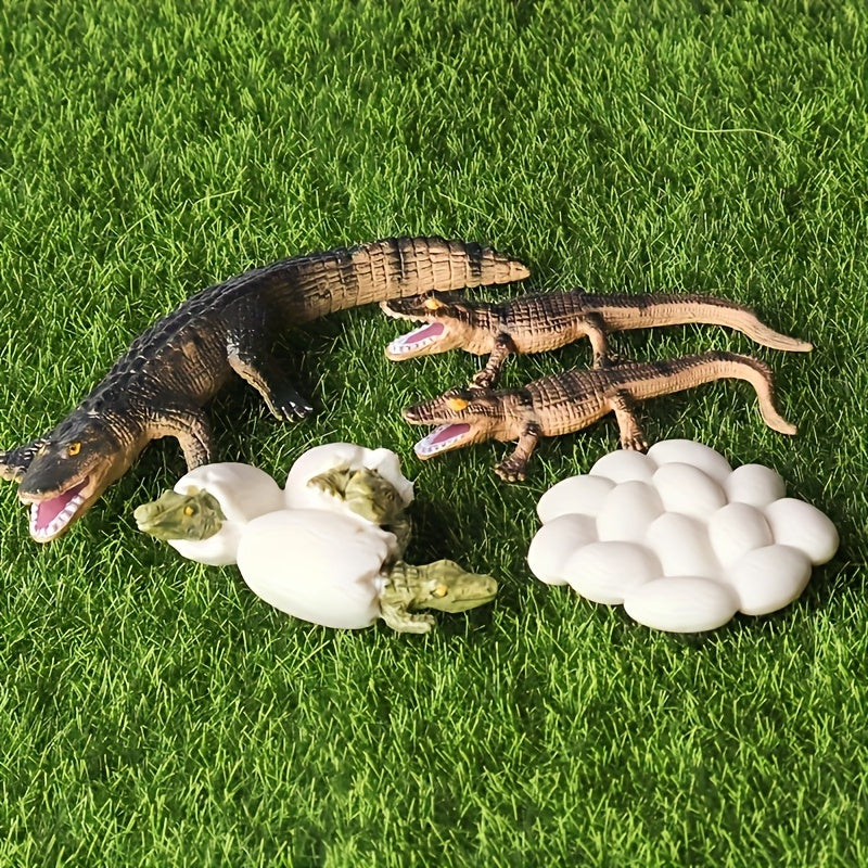 Handcrafted Crocodile Life Cycle Toy Set