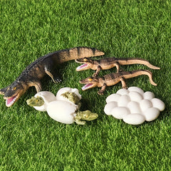 Handcrafted Crocodile Life Cycle Toy Set