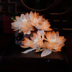 img_14659086