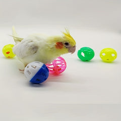 5pcs Bird Toy with Bell for Parrots, Interactive Variety Pack