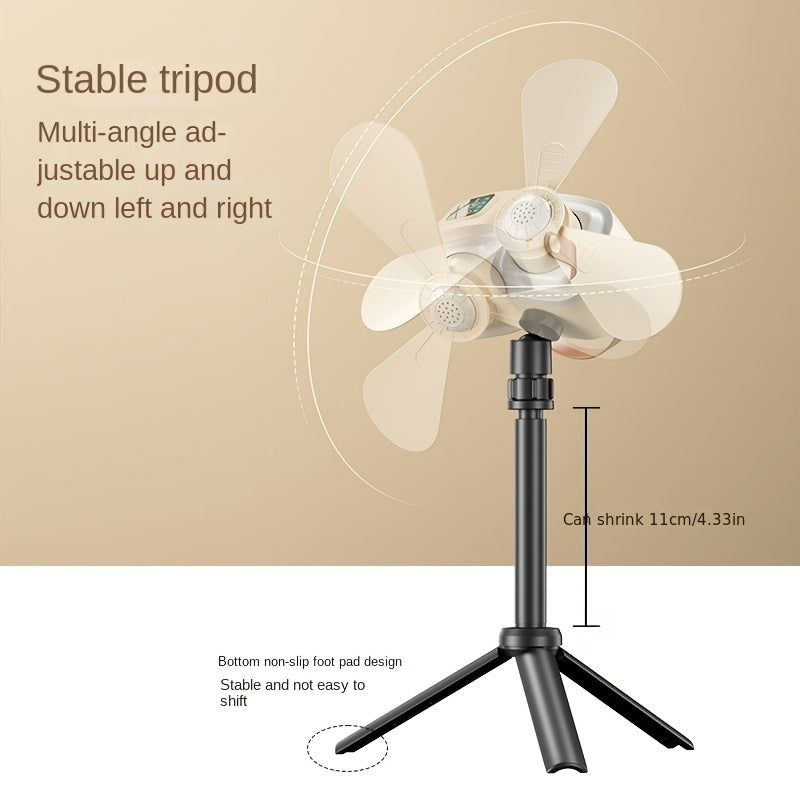 img_13028240